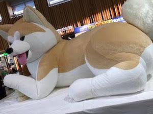 犬の画像