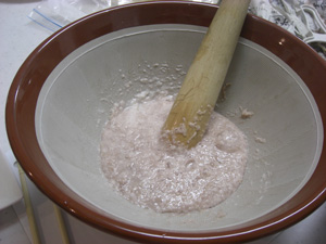 まるでお餅ですの画像