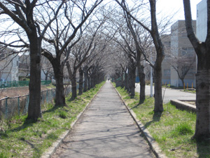 a4.jpg