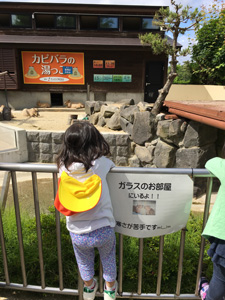 azuma7.14.jpg