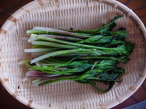 春の味の画像