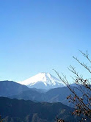 ikeda1127.jpg