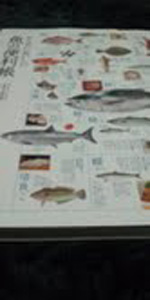 「旬の食材」の画像