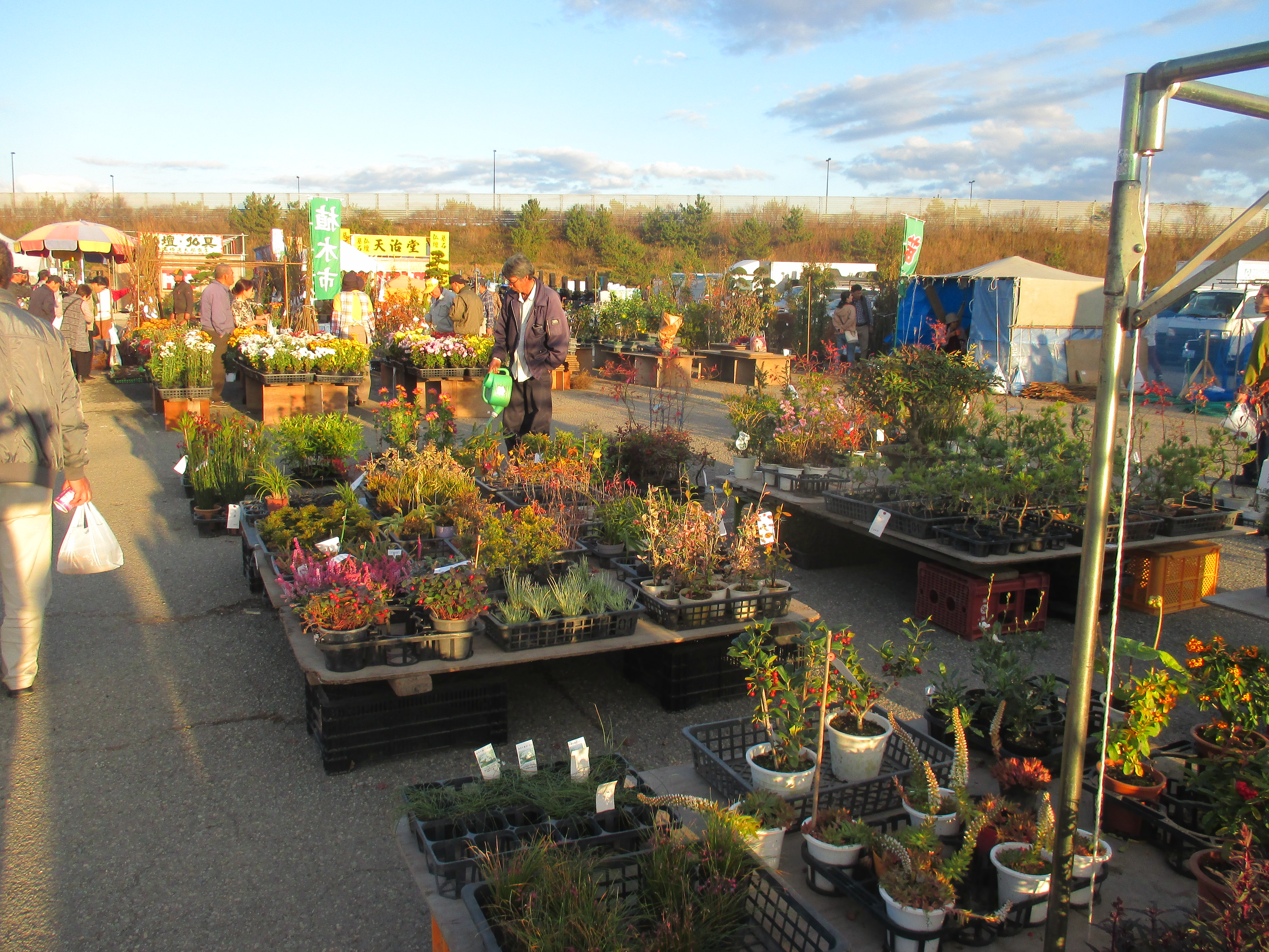 秋田県種苗交換会にての画像