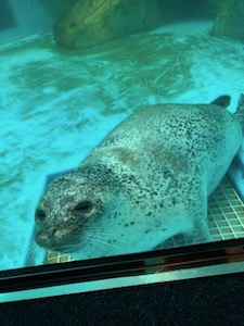 水族館の画像