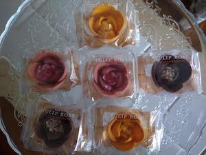 TULIP ROSE の画像