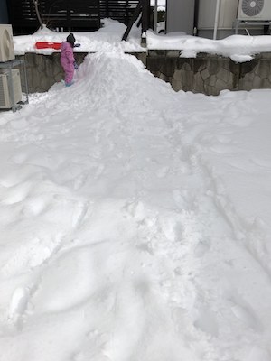 雪が好きな子供の画像