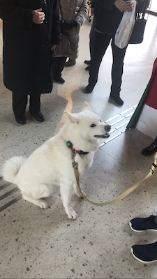 大館への画像