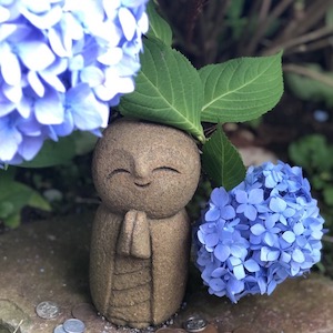 癒しの画像