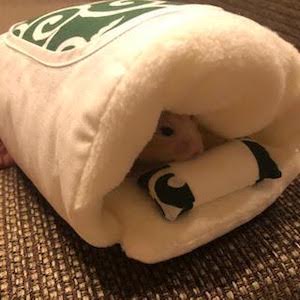寒さ対策の画像