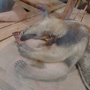 怖くなさすぎ?の画像