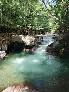 滝　の画像