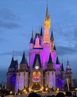 東京ディズニーランドの画像