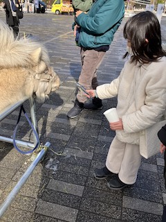 なかいちの冬のイベントの画像