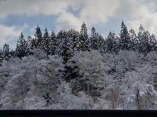 雪景色の画像