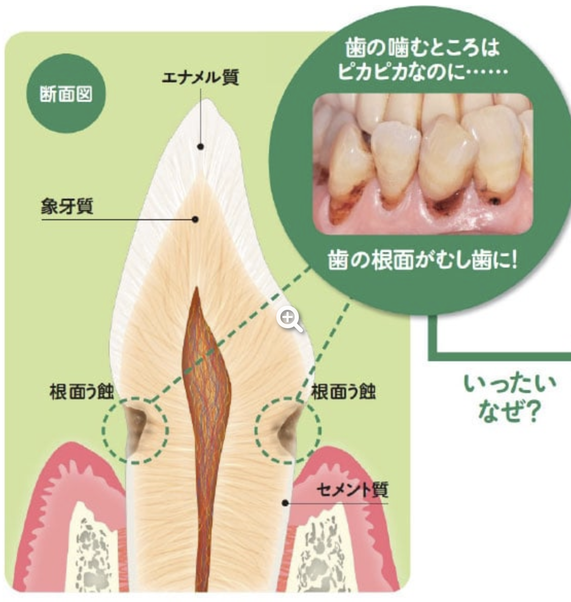 未来健康通信2024年4月号の画像