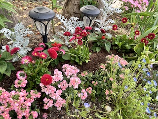 花植えの画像