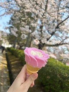 ババヘラの画像