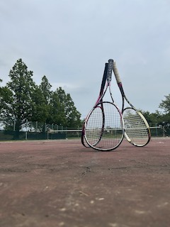 テニス の画像
