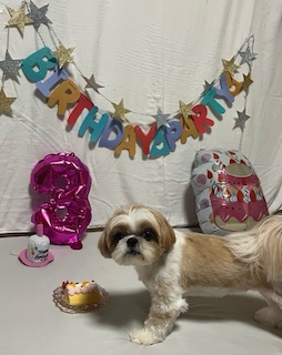 誕生日パーティーの画像