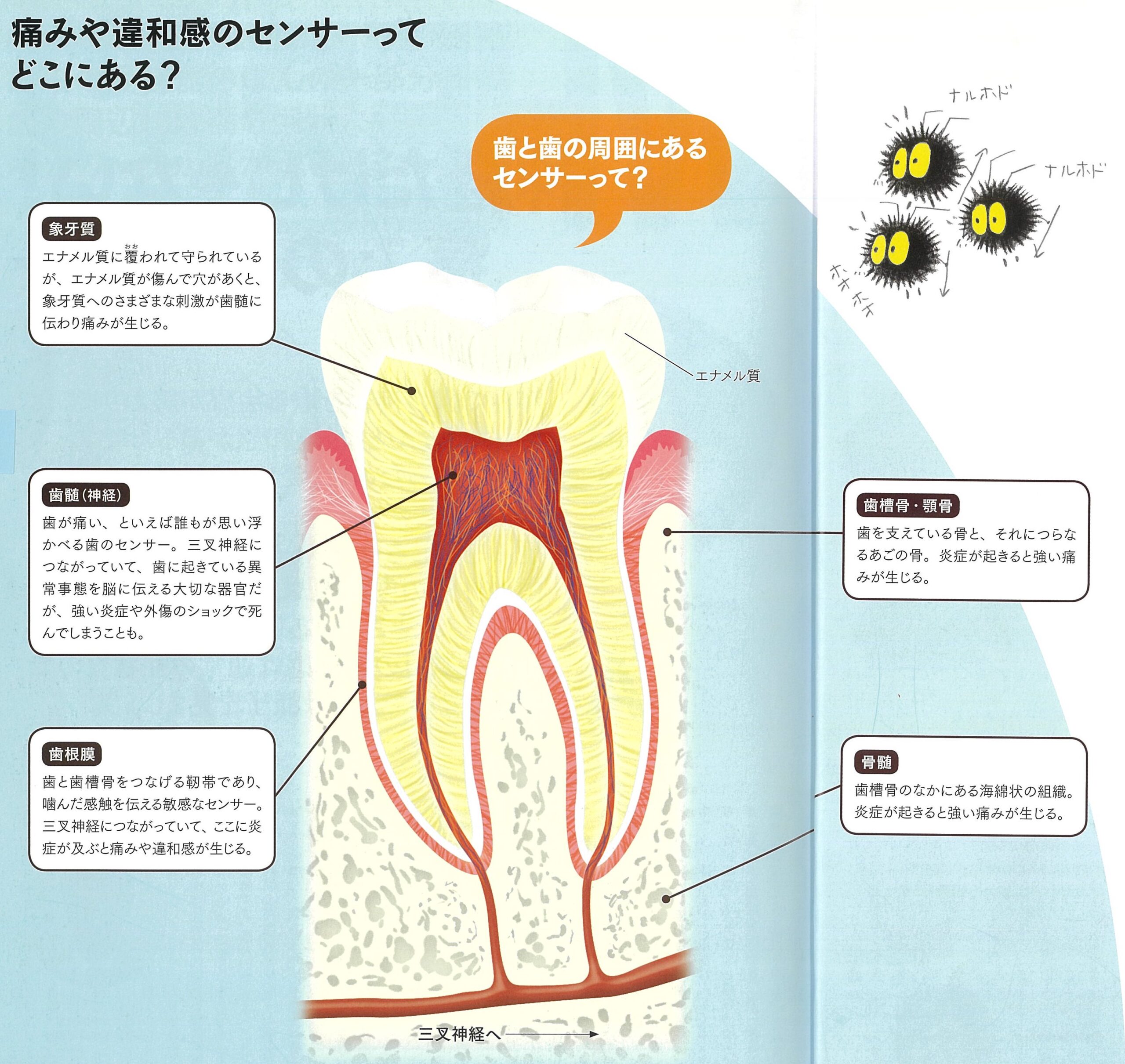 未来健康通信2024年11月号の画像