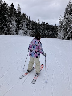 ウィンタースポーツの画像