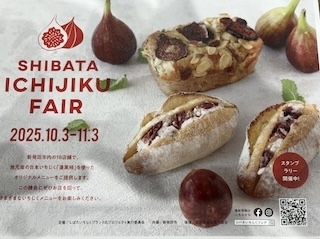 イチジクフェアの画像