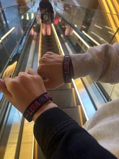 LiSA　LIVEの画像