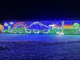 イルミネーションの画像