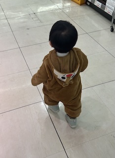 可愛い甥っ子の画像