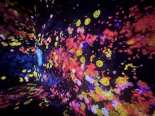 チームラボの画像