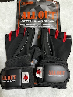 パワーグリップデビューの画像