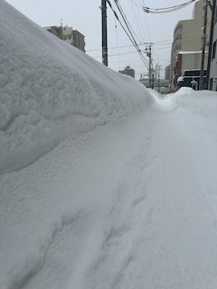 雪のミルフィーユの画像