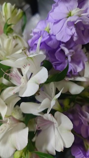 花のある生活の画像